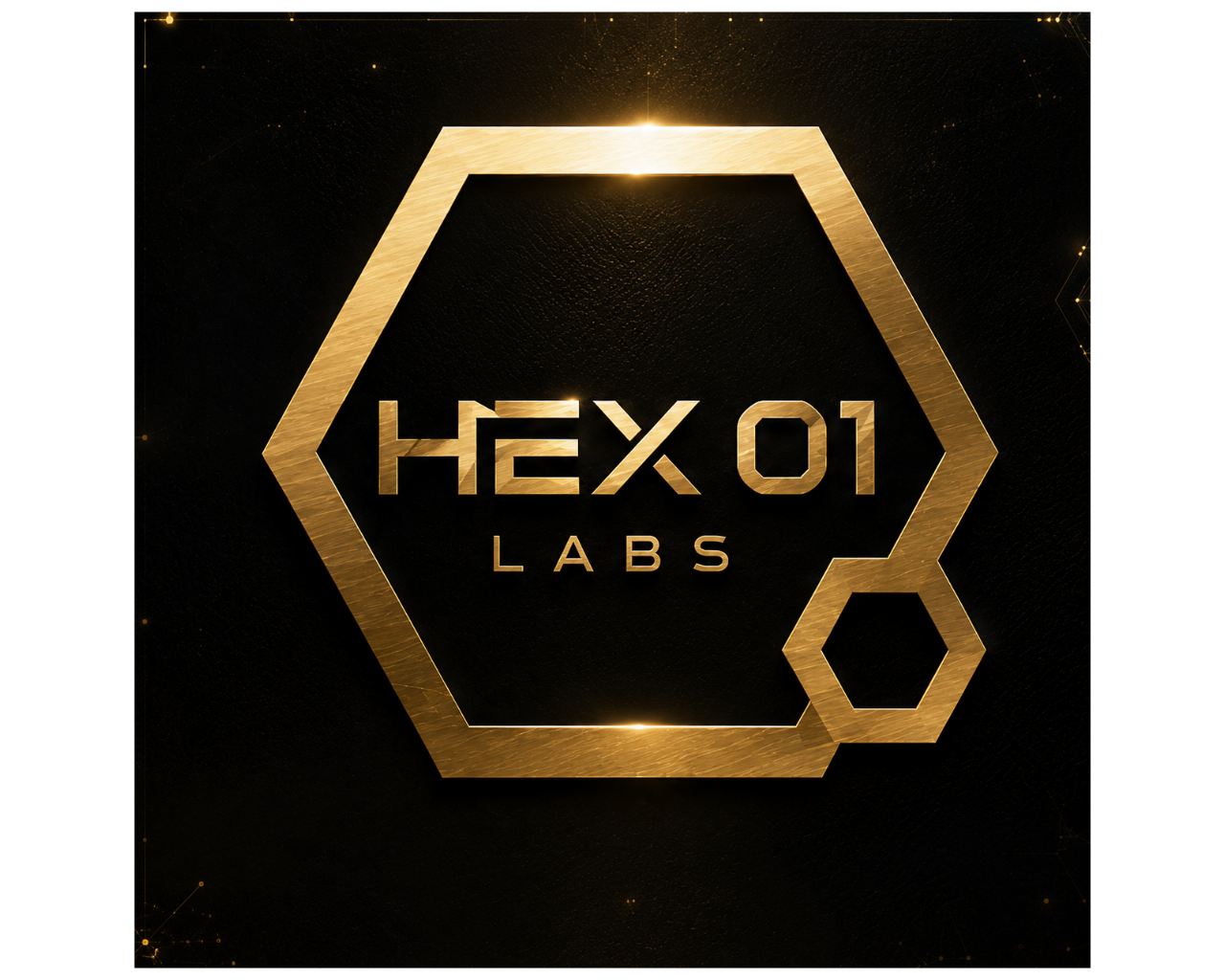 HEX 01 LABS